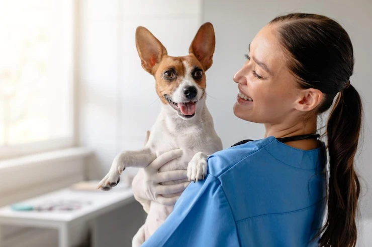 Acabar com mau hálito de cachorro