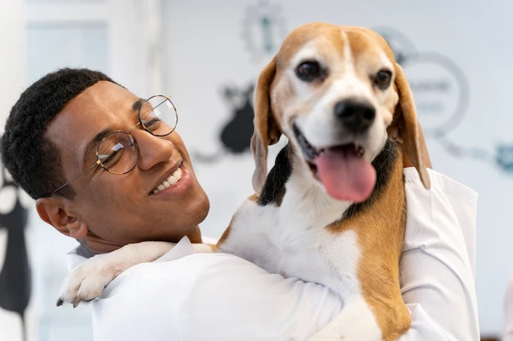 Dentista para cachorro perto de mim