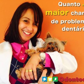 problemas dentários cachorro pequeno doutora odontologia veterinária clínica curitiba