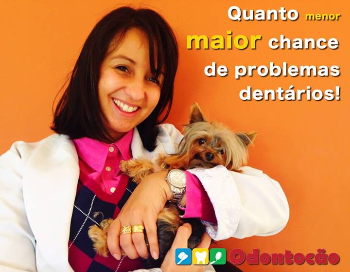 problemas dentários cachorro pequeno doutora odontologia veterinária clínica curitiba